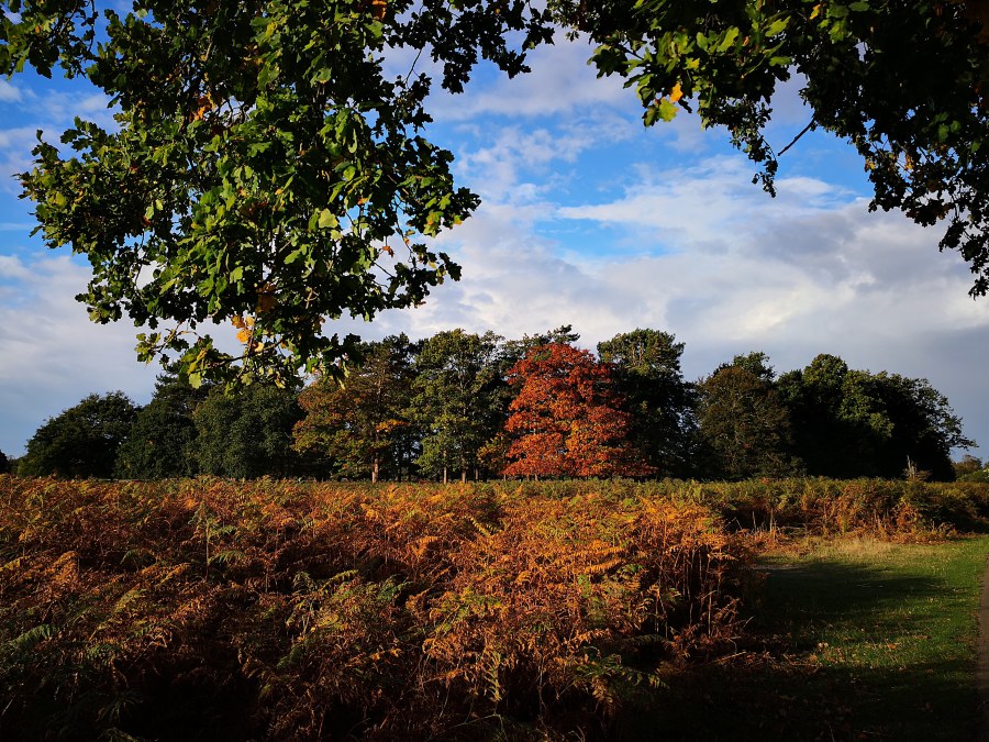 img_20181013_090105_190